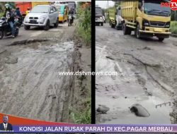 Jalan Provinsi di Kecamatan Pagar Merbau Rusak Parah, Ganggu Aktivitas dan Ekonomi Warga