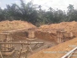 Pembangunan Menara Tower BTS di Durian IV Mbelang STM Hulu Diduga Tidak Memiliki Izin PBG