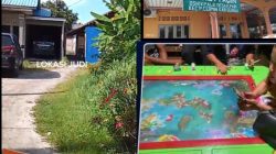 Judi Tembak Ikan di Desa Kota Pari Diduga Kebal Hukum, Warga Pertanyakan Ketegasan Aparat.